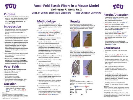 Vocal Fold Elastic Fibers in a Mouse Model Christopher R. Watts, Ph.D.