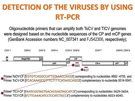 DETECTION OF THE VIRUSES BY USING RT-PCR