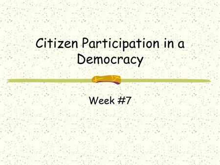 Citizen Participation in a Democracy