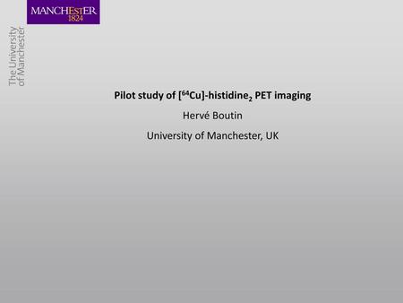 Pilot study of [64Cu]-histidine2 PET imaging