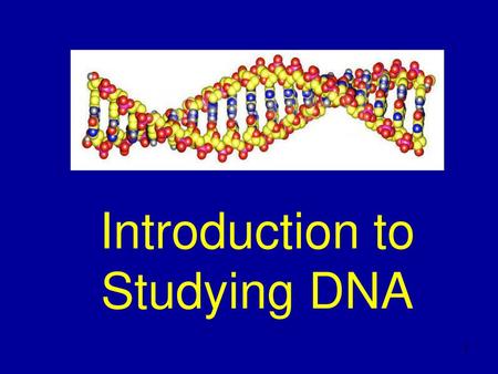 Introduction to Studying DNA