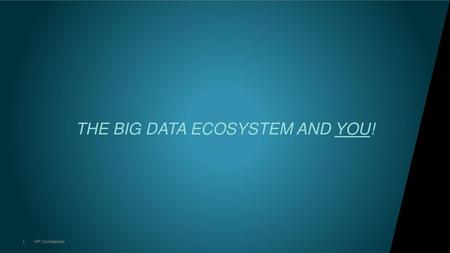 THE BIG DATA ECOSYSTEM AND YOU!