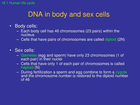 DNA in body and sex cells