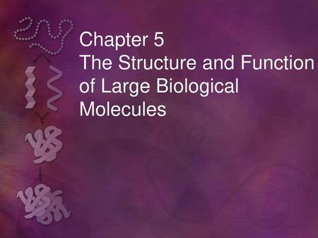 Chapter 5 The Structure and Function of Large Biological Molecules