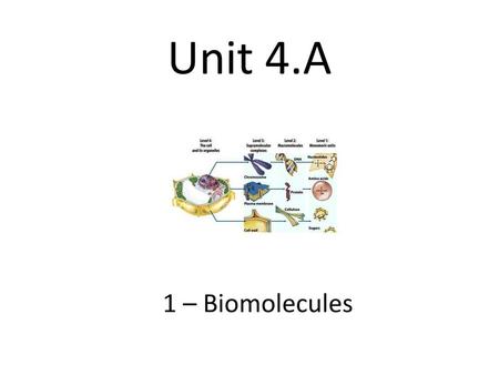 Unit 4.A 1 – Biomolecules.