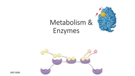 Metabolism & Enzymes 2007-2008.