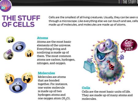 Atoms Make Up Molecules