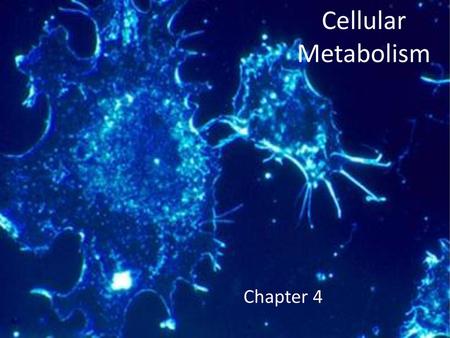 Cellular Metabolism Chapter 4.