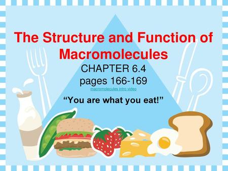 The Structure and Function of Macromolecules CHAPTER 6