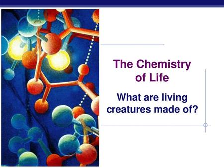 What are living creatures made of?