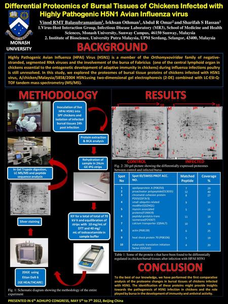 BACKGROUND METHODOLOGY RESULTS conclusion