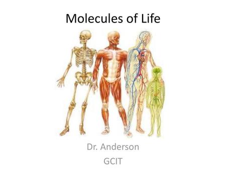 Molecules of Life Dr. Anderson GCIT.