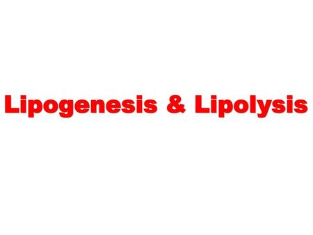 Lipogenesis & Lipolysis