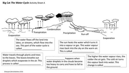 Big Cat The Water Cycle Activity Sheet A