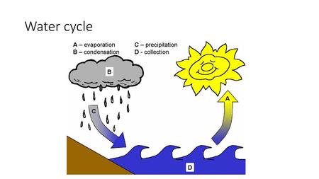 Water cycle.