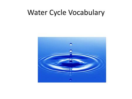 Water Cycle Vocabulary