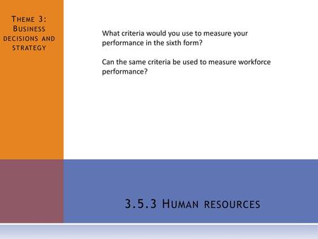 Theme 3: Business decisions and strategy