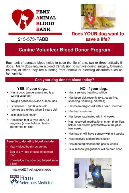 Canine Volunteer Blood Donor Program