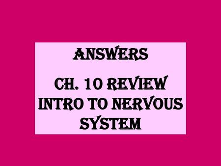 CH. 10 REVIEW INTRO TO NERVOUS SYSTEM