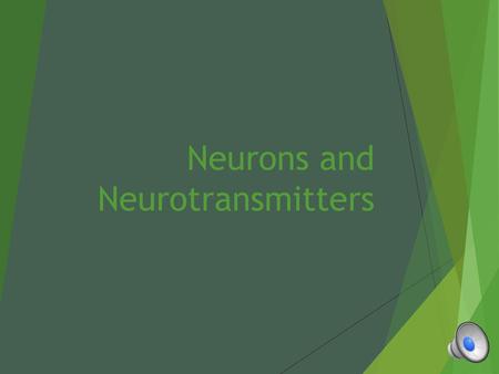 Neurons and Neurotransmitters