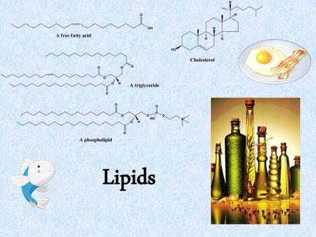 Lipids.