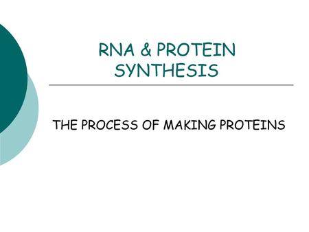 RNA & PROTEIN SYNTHESIS