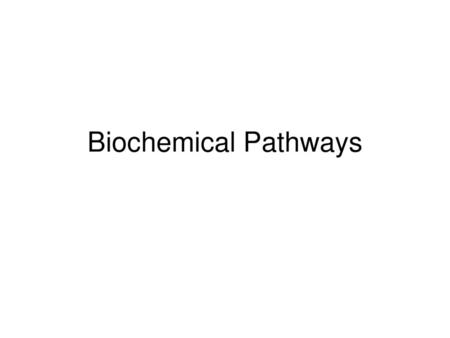 Biochemical Pathways.