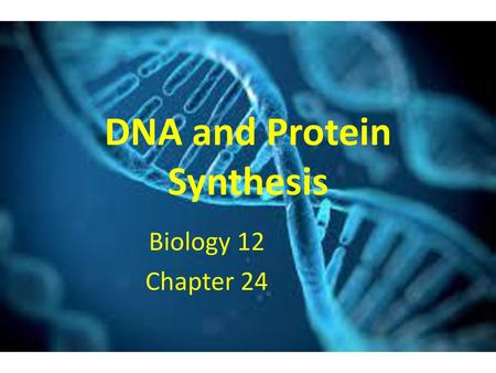 DNA and Protein Synthesis