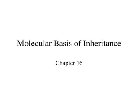 Molecular Basis of Inheritance