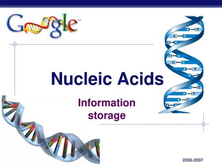 Nucleic Acids Information storage 2006-2007.