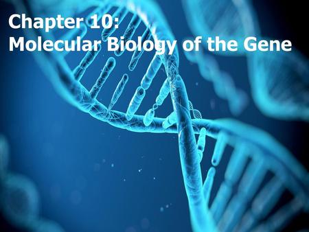 Chapter 10: Molecular Biology of the Gene.