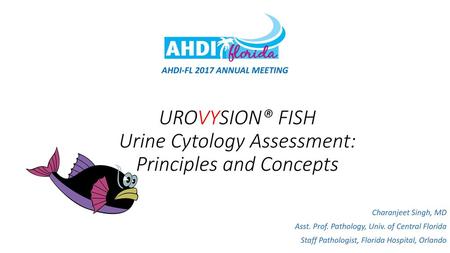 UROVYSION® FISH Urine Cytology Assessment: Principles and Concepts