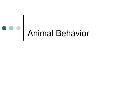 Animal Behavior.