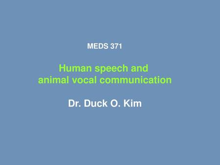 animal vocal communication