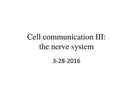 Cell communication III: the nerve system