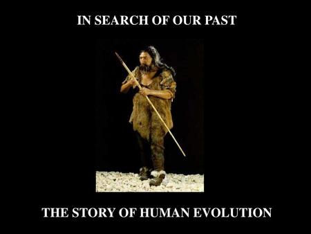 THE STORY OF HUMAN EVOLUTION