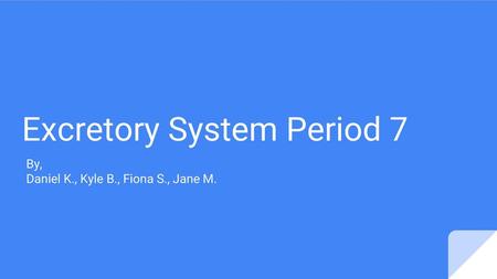 Excretory System Period 7