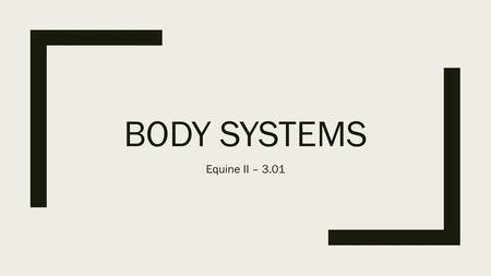 Body systems Equine II – 3.01.