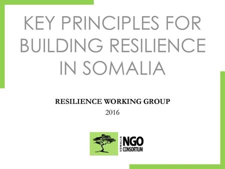 KEY PRINCIPLES FOR BUILDING RESILIENCE IN SOMALIA