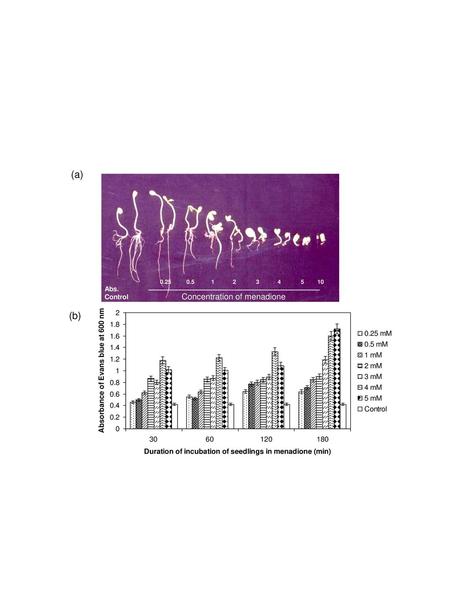 Concentration of menadione (mM)