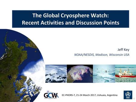 The Global Cryosphere Watch: Recent Activities and Discussion Points