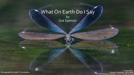 What On Earth Do I Say by Sue Spencer