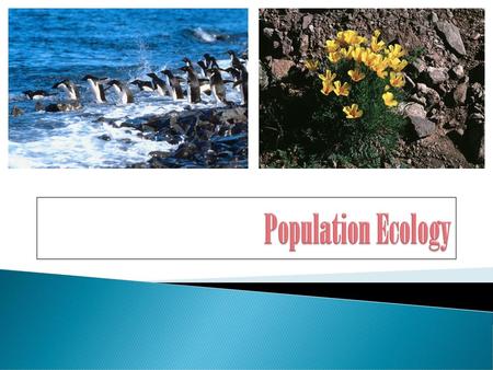 Population Ecology.