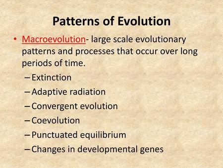 Patterns of Evolution Macroevolution- large scale evolutionary patterns and processes that occur over long periods of time. Extinction Adaptive radiation.