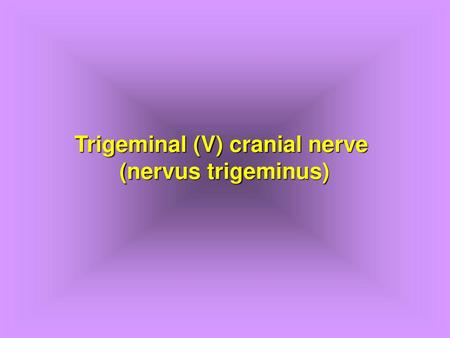 Trigeminal (V) cranial nerve