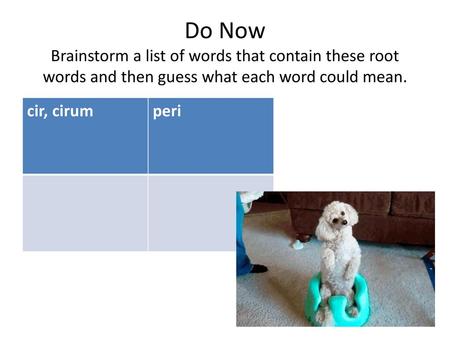 Do Now Brainstorm a list of words that contain these root words and then guess what each word could mean. cir, cirum peri.