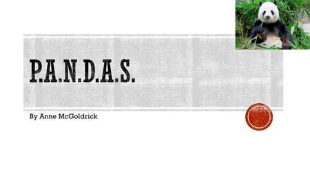 P.A.N.D.A.S. By Anne McGoldrick.