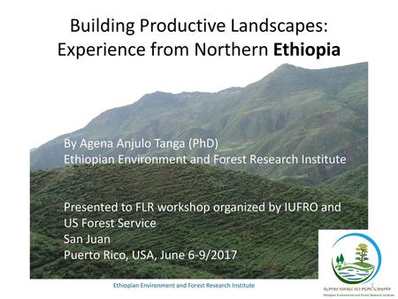 Building Productive Landscapes: Experience from Northern Ethiopia