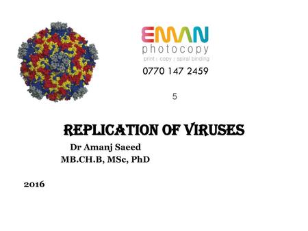 Replication of viruses