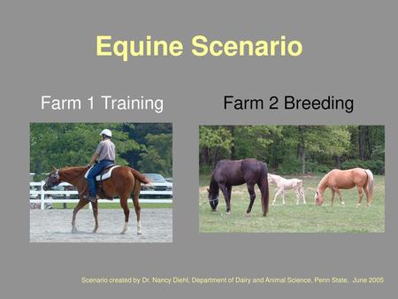 Farm 1 Training Farm 2 Breeding